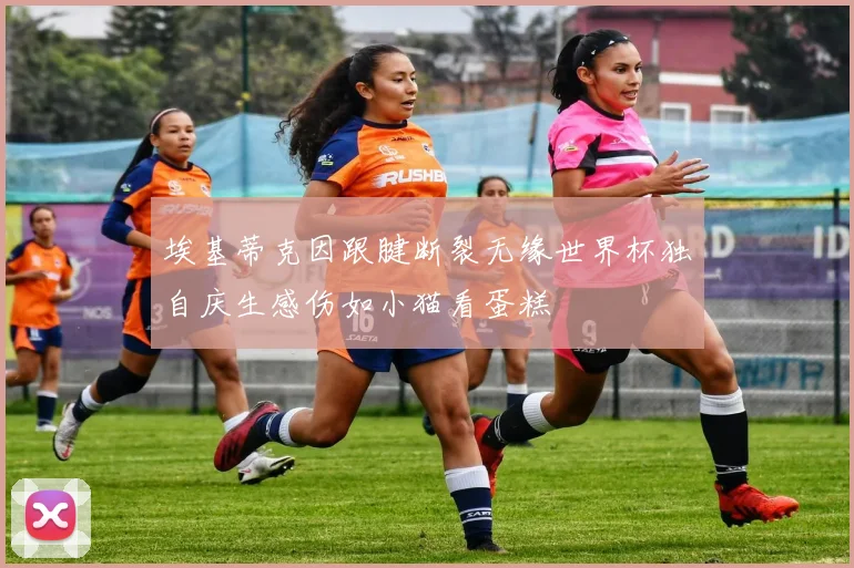 埃基蒂克因跟腱断裂无缘世界杯独自庆生感伤如小猫看蛋糕